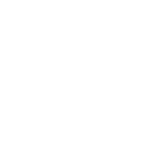 HONDA IVEL