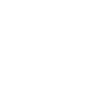 SAPIENS